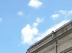 Spacer, który się nie odbył. Gorzki finał aukcji WOŚP z udziałem prezydenta Chełma