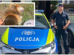 Dzielnicowy z Dobromierza uratował psa [FOTO]