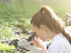 3 rośliny, które działają jak antybiotyk. Zabijają bakterie, ale nie tylko…
