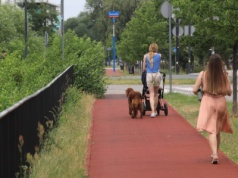 Żyjemy w stygmatyzującym społeczeństwie. Badania o matkach w pracy wkurzyły mnie jak nigdy