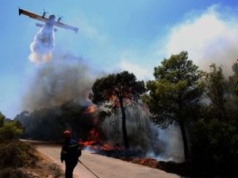 Tragiczne pożary w Grecji. Co najmniej jedna ofiara śmiertelna