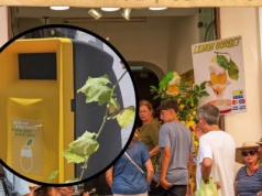 Cytrynowy sorbet – letni hit i śmieciowy koszmar. Tak poradzili sobie z problemem
