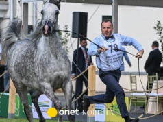 Kupcy z Arabii Saudyjskiej, USA i Australii. Zawrotne kwoty za konie w Janowie Podlaskim