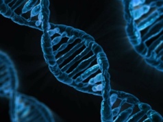 Szokujące odkrycie. Naukowcy zbadali pozostałości starożytnych wirusów w ludzkim DNA