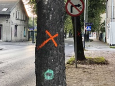 Tu dochodzi do licznych kolizji i wypadków. Część drzew pójdzie pod topór