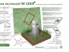 Bezpieczeństwo w lesie – apel o rozwagę podczas grzybobrania