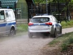 Strzały i dwa ciała na posesji. Tragedia w Elblągu