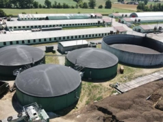 Pomiot głównym substratem w produkcji biogazu. Jakie są ograniczenia i jak zwiększyć zużycie?