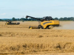 Ukraina tworzy „ministerstwo agroprzemysłu”. Czy rolnictwo w UE wytrzyma konkurencję?