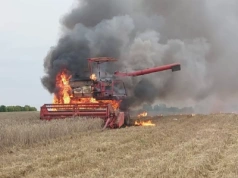 Kombajn Massey Ferguson płonie jak zapałka [FILM]