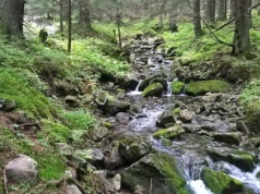 Tatry. Napiła się wody ze strumienia. „Prawie umarła”