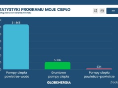 Moje Ciepło – wypłacono połowę budżetu. Które pompy ciepła cieszą się największą popularnością?