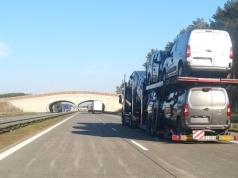 Transport w statystykach: gdzie najsilniejsza jest krajówka, gdzie międzynarodówka?