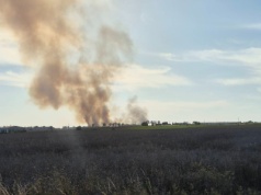 Duży pożar na polu pod Poznaniem. Trwa akcja strażaków