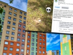 W sieci pojawiło się ostrzeżenie dla rodziców małych dzieci. 
