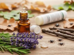 Jak skutecznie odstraszyć kleszcze? Naturalne i apteczne sposoby, zanim będzie za późno