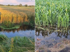 Wakacje kredytowe dla rolników. Na jakich warunkach i dla kogo?