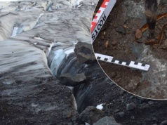 Niecodzienne znalezisko na polarnej wyprawie. Polacy znaleźli szczątki badacza
