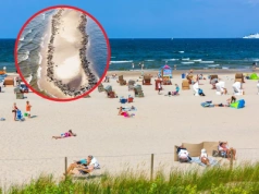 Wyjątkowe nagranie z polskiej plaży. Internauci nie kryją zachwytu