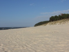 Martwy wieloryb wyrzucony na plażę w Wisełce. Sanepid bada wodę