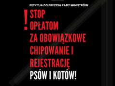 Nowe prawo nakłada drastyczne opłaty na opiekunów psów i kotów oraz może zwiększyć bezdomność zwierząt!