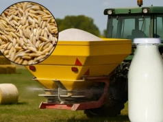 Podwyżki cen nawozów, względem cen zbóż i mleka. Ceny nawozów średnio o 70% wyższe
