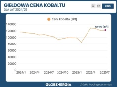 Mimo ruchów lidera rynek wciąż zamrożony – ponad 120 tys. złotych za tonę