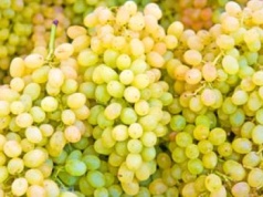 W tych owocach nie znajdziesz pestek. Mało kto wie, czy są bezpieczne dla zdrowia i wolne od GMO