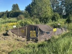 Czytelnik: Dziwne znalezisko nad rzeką. Sprawdziliśmy i uspokajamy [ Wiadomości ]