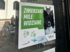 Coraz więcej miejsc w Lublinie przyjaznych zwierzakom. Sprawdź, gdzie wejdziesz ze swoim pupilem – na obiad, zakupy albo do urzędu [PEŁNA LISTA]