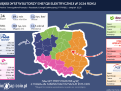 Miliardy wydane na sieci nie pomogą bez zwiększenia elastyczności
