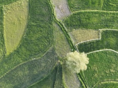 Kontrole ARiMR 2025 już trwają – sprawdź, co wykrył monitoring upraw