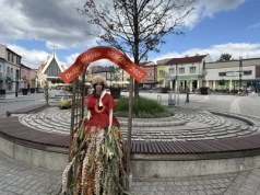 Zbliżają się miejskie dożynki – pergole już zdobią miasto