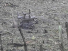 Szef MON potwierdza, że pod Łukowem spadł dron