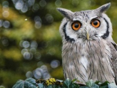Ten quiz z podstawówki zawstydzi dorosłych. Skup się zanim zaczniesz