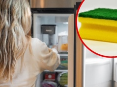 Trik z gąbką w lodówce. Oto, dlaczego każdy powinien ją tam włożyć