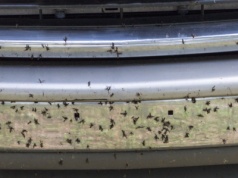 Większość kierowców po trasie ma ten sam problem. Jest kilka rozwiązań