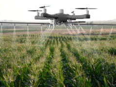 Czy opryski dronami są legalne? Sprawdź przepisy i planowane zmiany