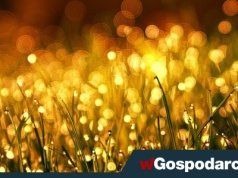 Woda na wagę złota – jak ESG wpływa na ceny kruszcu