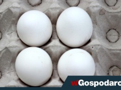Przechowujesz jaja w ten sposób? Można sobie zaszkodzić