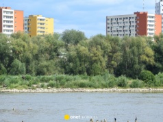 Wisła w Warszawie bije rekordy niskiego stanu wody. Eksperci ostrzegają