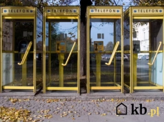 Płacą małą fortunę za stare karty telefoniczne. Kolekcjonerzy szukają konkretnych wzorów