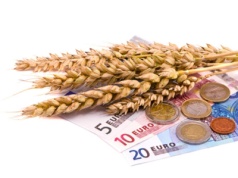 Matif: Szybki powrót do obniżek. Wrześniowy kontrakt na pszenicę po 196,50 EUR/t