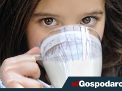 Skyr, kvarg czy może jogurt naturalny – co wybrać?