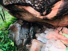 Wielka archeologiczna zagadka z Tajlandii. W dżungli znaleźli nieznane sanktuarium