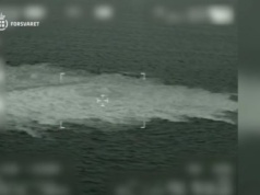 Znamy zarzuty wobec Ukraińca, podejrzanego o wysadzenie gazociągów Nord Stream