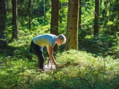 Las to nie sklep z pamiątkami. Wynoszenie tych rzeczy grozi mandatem, a nawet więzieniem