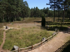 Na Kaszubach możesz natrafić na tajemnicze kręgi. Mówi się, że to "polskie Stonehenge"