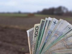 Przekazanie gospodarstwa a dopłaty. Kto dostanie pieniądze z ARiMR?