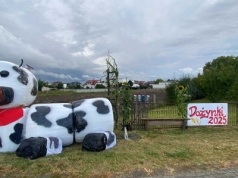 Barwne dożynki – wspólna praca mieszkańców zachwyca (ZDJĘCIA)